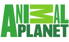 MX - ANIMAL PLANET FHD