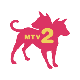 US - MTV 2 EAST HD