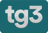 MT - TG3