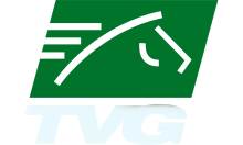 SV - TVG AMÉRICA HD