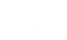 ES TI - TAC 12 HD